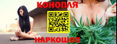 прущие грибы Дмитров