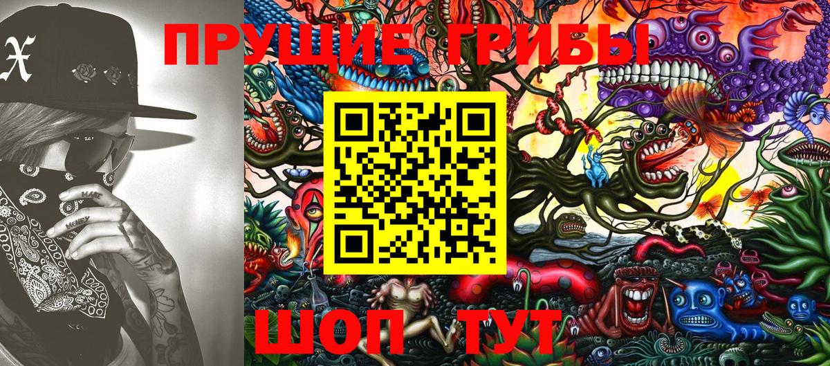 Приморско-Ахтарск  цена   Вход с VPN  Псилоцибиновые грибы Psilocybine cubensis 